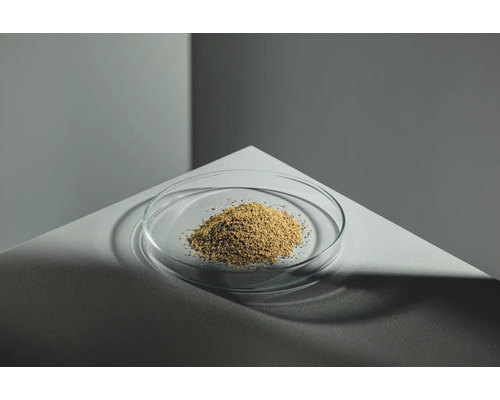 Helles Saatgut in einer Glasschale