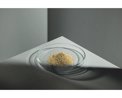 Hirse in einer Glasschale