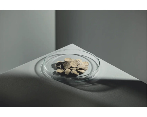 Torftabletten in einer Glasschale