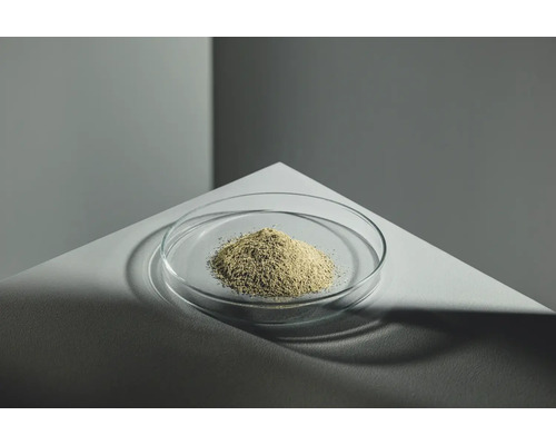 Poudre dans un plat en verre