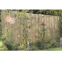 Bambus Sichtschutzzaun im Garten