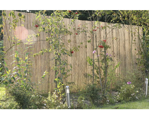 Brise-vue en bambou dans le jardin