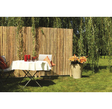 Gartenszene mit Bambuszaun, Tisch, Stühlen und Blumenkübel