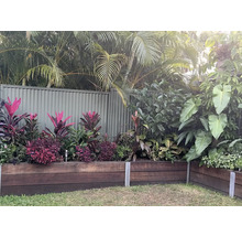 Jardin aménagé avec bordure en bois et diverses plantes