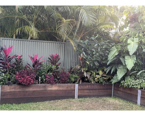 Jardin aménagé avec bordure en bois et diverses plantes