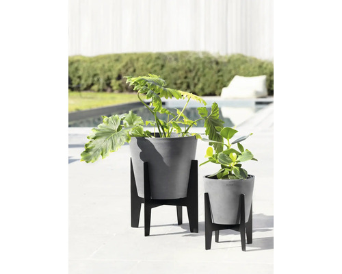 Deux pots de fleurs gris avec des plantes sur des supports de plantes noirs à l''extérieur.