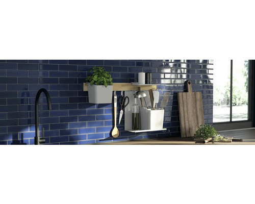 Scène de cuisine avec des carreaux bleus, un évier, des herbes aromatiques et des ustensiles de cuisine.