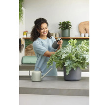 Frau pflegt Pflanze mit Sprühflasche neben Gießkanne auf einer Arbeitsplatte