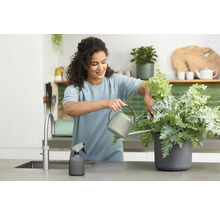 Frau giesst Pflanze in Küche mit Giesskanne