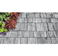 Pavés gris avec plantes
