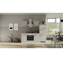 Cuisine complète Flex Well avec appareils Lund 220 cm gris clair brillant démontée variante réversible 00012695