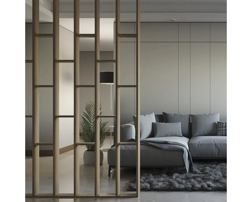 Salon avec séparateur de pièce en bois, canapé et tapis