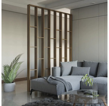 Salon avec canapé, table basse, plante d''intérieur et séparateur de pièce en bois