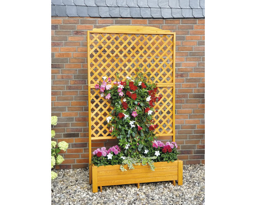 Holz-Pflanzkasten mit Rankgitter und blühenden Pflanzen vor einer Backsteinmauer