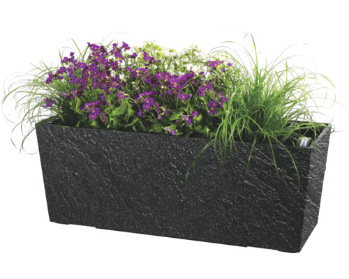 Rechteckiger Pflanzkasten mit lila und weißen Blumen