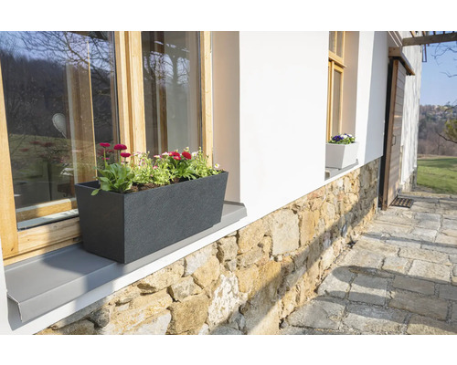 Blumenkasten mit Blumen auf der Fensterbank