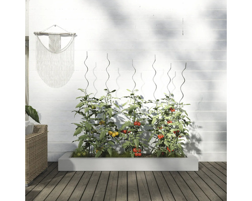 Hochbeet mit Tomatenpflanzen und Rankhilfen vor einer weißen Wand