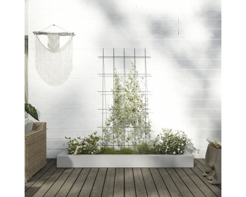 Garten mit Rankgitter, bepflanztem Blumenkasten und Dekoration an der Wand