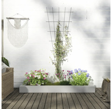 Scène avec bac à fleurs, treillis et plantes devant un mur blanc