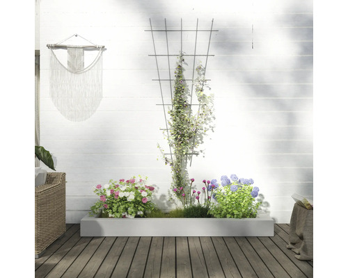 Scène avec bac à fleurs, treillis et plantes devant un mur blanc