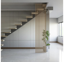 Pièce claire avec escalier, séparation de pièce en bois et plante d''intérieur
