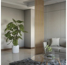 Salon avec plante d''intérieur, canapé, table basse et séparateur de pièce