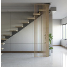 Pièce lumineuse avec escalier, paroi à lamelles en bois et plante d''intérieur