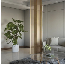 Salon avec séparation de pièce en bois, canapé et plante d''intérieur