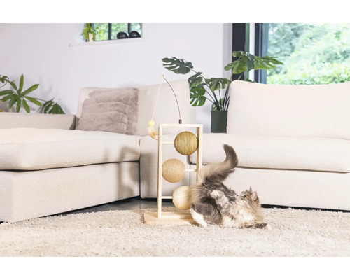 Chat joue avec un arbre à chat dans le salon.
