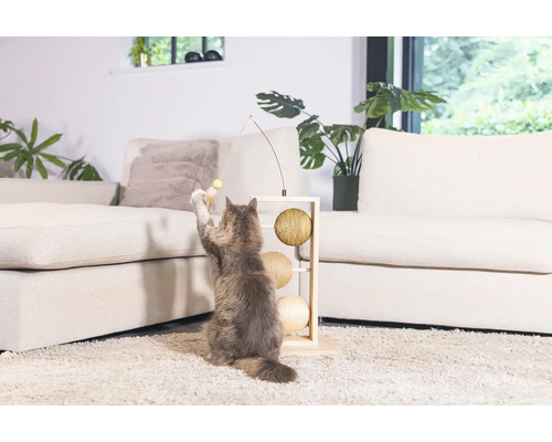 Chat jouant avec un jouet pour chat avec trois balles et une canne à pêche dans un salon.