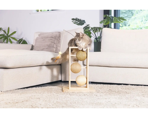 Chat sur un arbre à chat avec canne à pêche jouet dans le salon