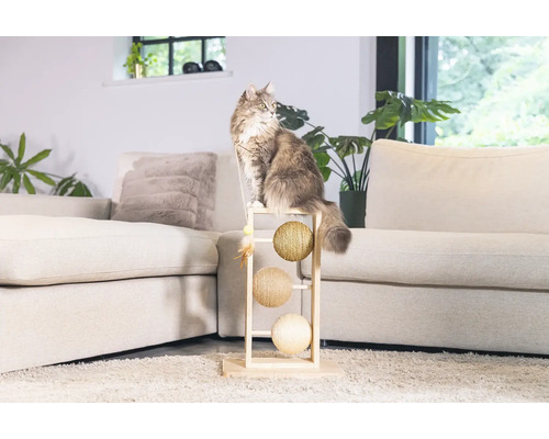 Chat assis sur un arbre à chat avec trois balles de jeu dans le salon