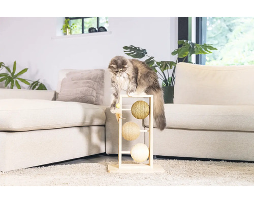 Chat jouant avec un arbre à chat dans le salon