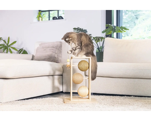 Chat jouant avec un arbre à chat avec trois balles dans un salon