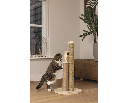 Chat grimpant sur un arbre à chat à plusieurs niveaux recouvert de sisal.