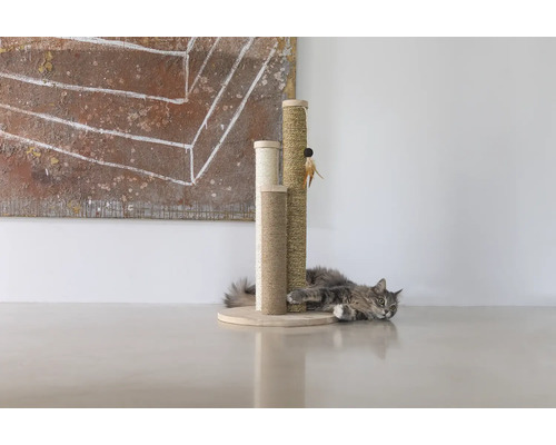 Chat se reposant contre un arbre à chat en sisal.