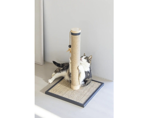 Chat utilisant un arbre à chat avec tronc en sisal et jouet