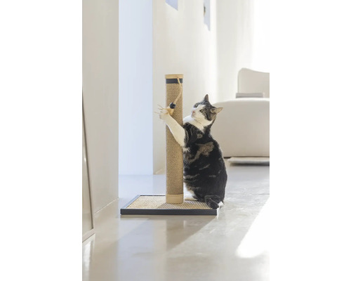 Chat faisant ses griffes sur un arbre à chat dans le salon.