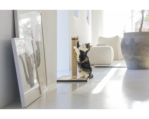 Un chat griffe un griffoir dans un salon lumineux.