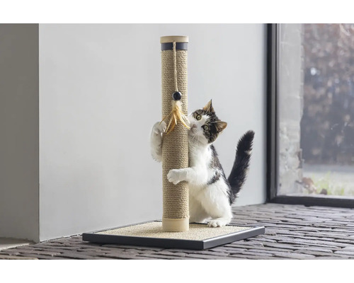 Chat griffant un arbre à chat avec un jouet