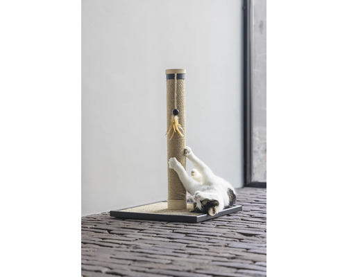 Chat qui fait ses griffes sur un arbre à chat avec tronc en sisal et jouet