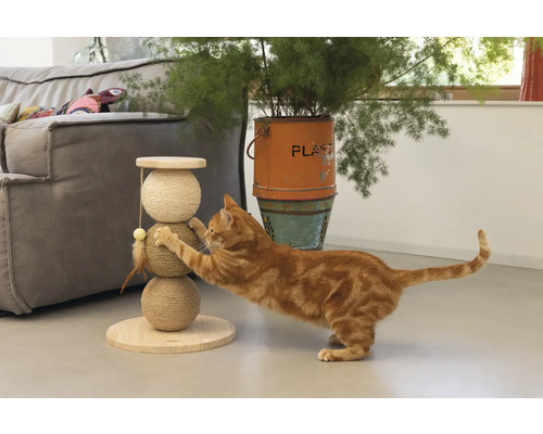 Un chat se fait les griffes sur un arbre à chat avec trois boules en sisal.