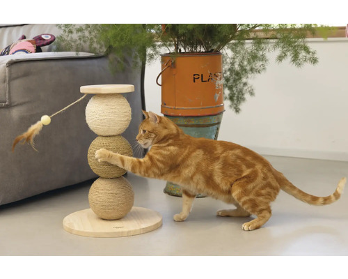 Chat jouant avec un arbre à chat en bois et en sisal