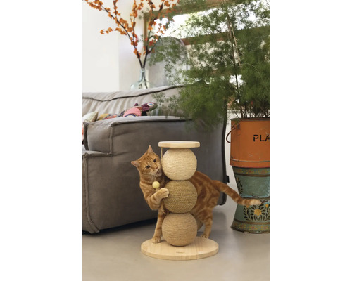 Chat jouant avec un arbre à chat dans le salon.