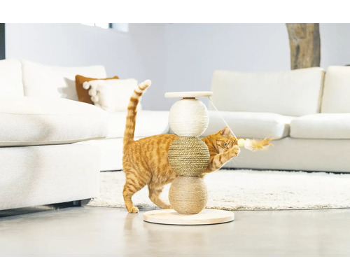 Chat jouant avec un arbre à chat en sisal et en bois dans une pièce lumineuse
