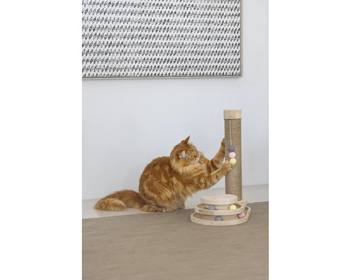 Katze spielt mit Kratzbaum und Spielzeug
