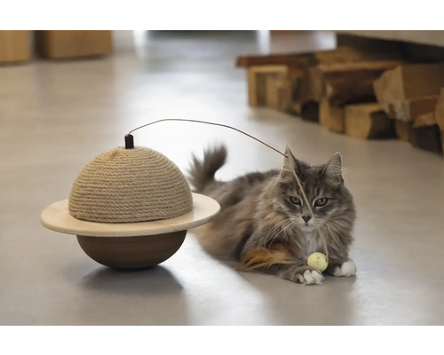 Chat jouant avec un meuble à griffer avec jouet