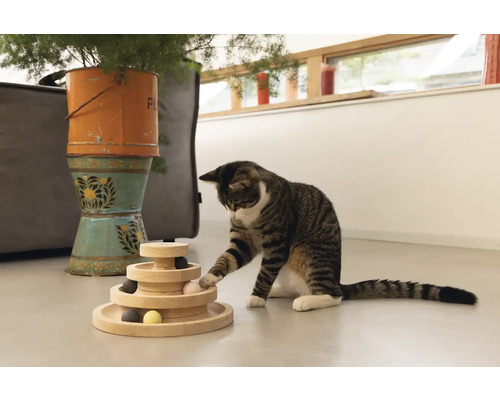 Chat jouant avec un jouet interactif en bois à plusieurs niveaux avec de petites balles.