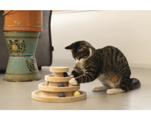 Un chat tigré joue avec un jouet d''intelligence en bois.