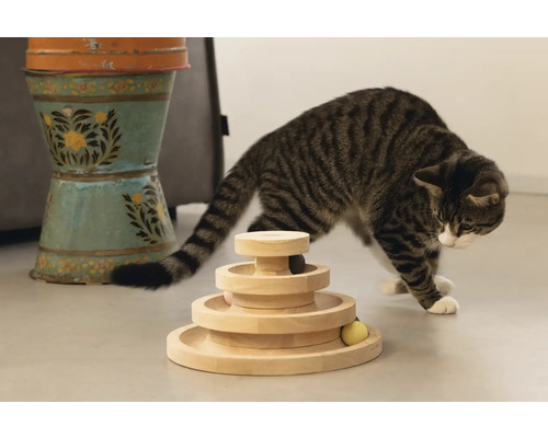 Chat tigré jouant avec un jouet interactif en bois à plusieurs niveaux